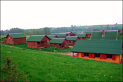 o�rodek wypoczynkowy Sikorki, agroturystyka, gril, jezioro, domki letniskowe i ca�oroczne, kujawsko-pomorskie